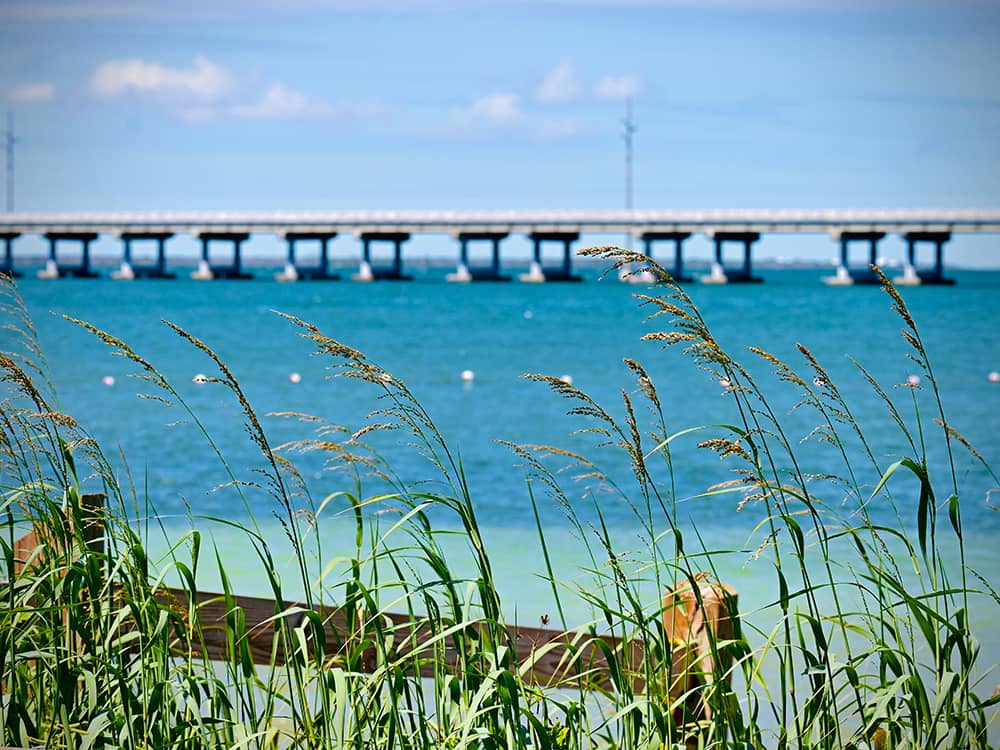 Florida bridge