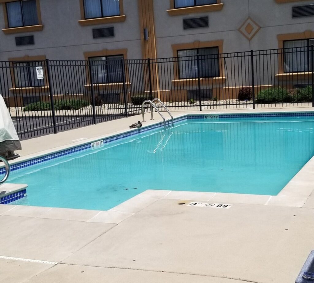 Quality Inn & Suites Bloomington University Area